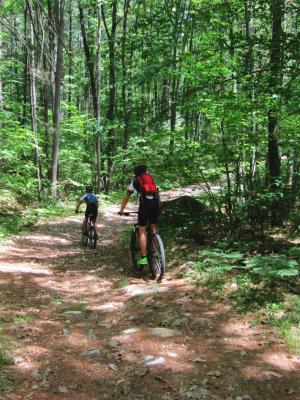 Miles of trails offer recreational opportunities for Manchester area residents