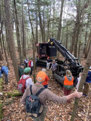 Group visits a logging machine parked in a hemlock forest