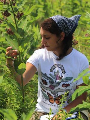 Katie Galletta inspecting the leaves of a milkweed plant.