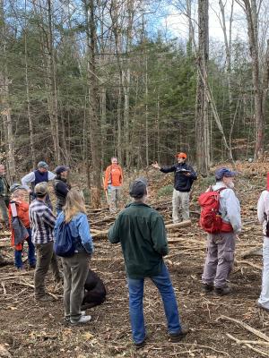 Opening in woods with foresters explaining recent timber harvest