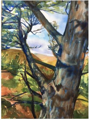 A watercolor painting of a tree up close.