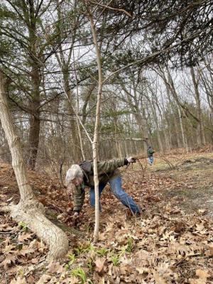 A woman stands among a pile of dead leaves in the forest. 