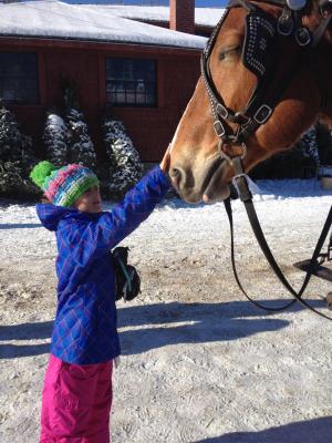 Ella McPhaul, then age 7, greets one of the wagon-pulling horses at The Rocks during Christmas tree season in 2014. In the background is the Electric Plant, which burned to the ground along with the Tool Building.