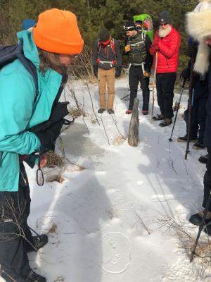 “Camera Trapping Guide” author Janet Pesaturo, left, and Zachary Pearo, Bobby Rupnick, Peter Beblowski and Judith Bischoff admire bobcat tracks on a recent tracking hike in Marlborough.