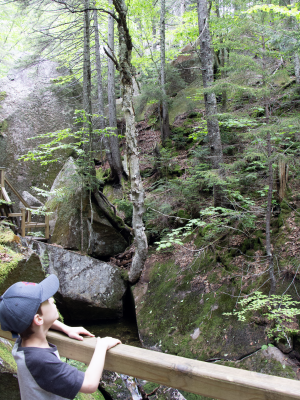 Jonah Berry looks up toward the gorge walls at Lost River Gorge.