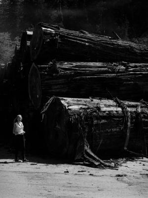 Sharon next to large redwoods that were logged.