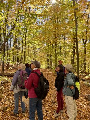 Hikers on Sunset Hill amid golden autumn foliage