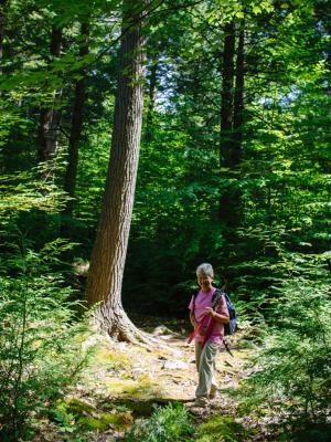 Land steward volunteer hiking with loppers for a volunteer workday in Milton New Hampshire