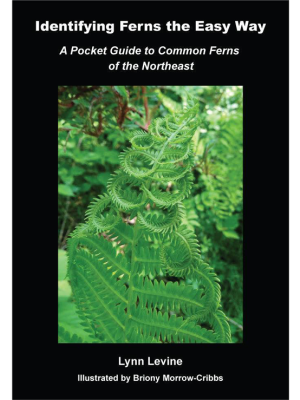 Identifying Ferns the Easy Way by Lynn Levine