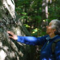 A hiker examines an old granite quarry in New Hampshire