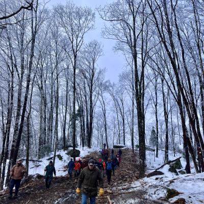The group descending a skid trail made up of slash