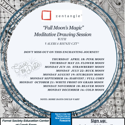 Monthly Full Moon Magic Meditative Drawing Sessions