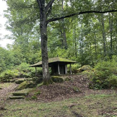 The beehouse has a mossy roof and stairs but otherwise looks similar to the black and white photo.