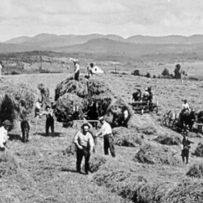 Men are haying in the field.