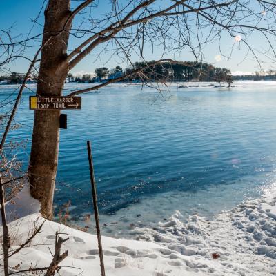The Little Harbor Loop Trail sign and the high tide line in winter.
