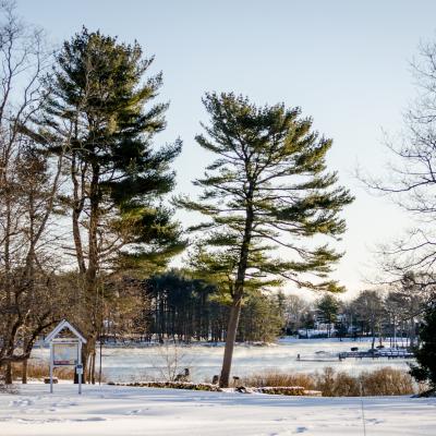 A view of Creek Farm featuring several large trees and Sagamore Creek