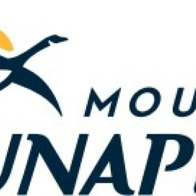 Mount Sunapee Logo