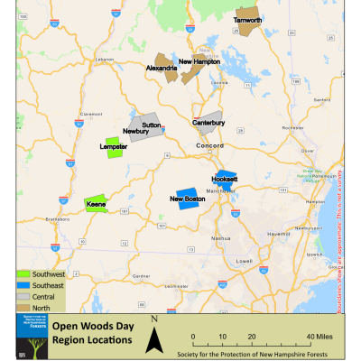 OpenWoodsDayMap