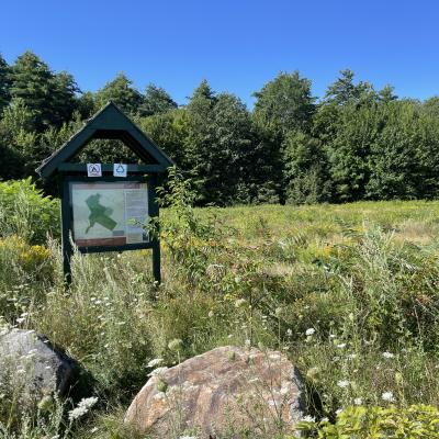 kiosk with tall weeds open field at Champlin Forest