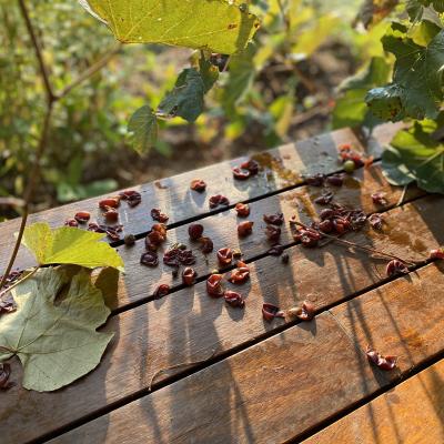 discarded grape skins litter front porch deck