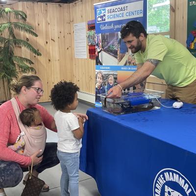 Seacoast Science Center Touch Tank is AMAZING!