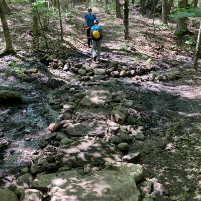 A trail, once eroded and covered in water, is now built up with rock steps and gravel to ensure better drainage.