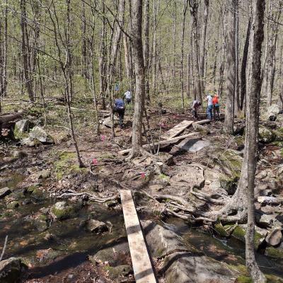 Construction of wooden bridges in a wet area with a few volunteers in a forested landscape.