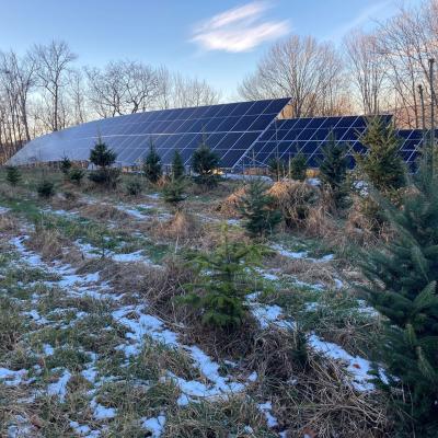 The solar array at The Rocks.