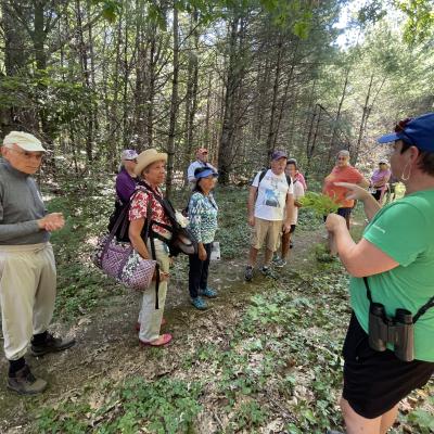 Group hike with naturalist in Forest Society Champlin Forest