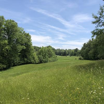 A green field on Tuckaway Farm.