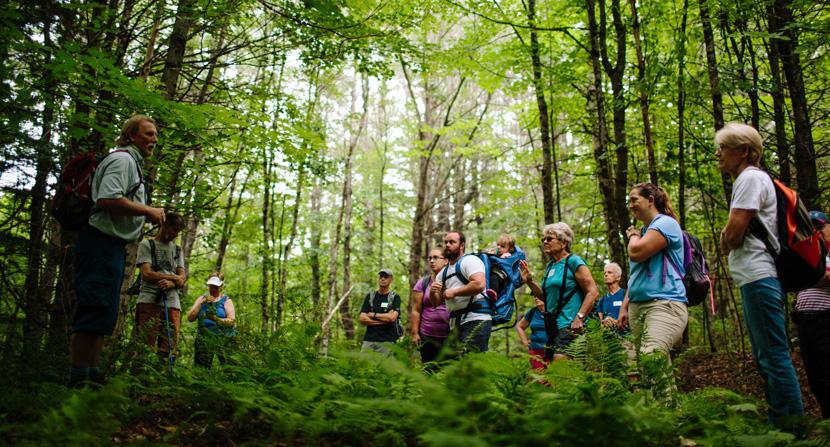 Hikers ask questions and learn at an interpretive hike through a forest in Nottingham