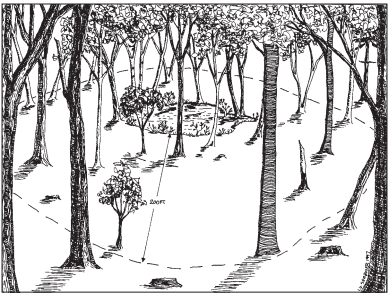 Illustration of a 200 foot buffer from Good Forestry in the Granite State