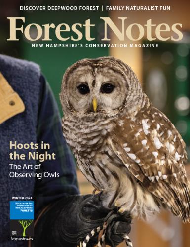 Forest Notes, Winter 2024 Cover