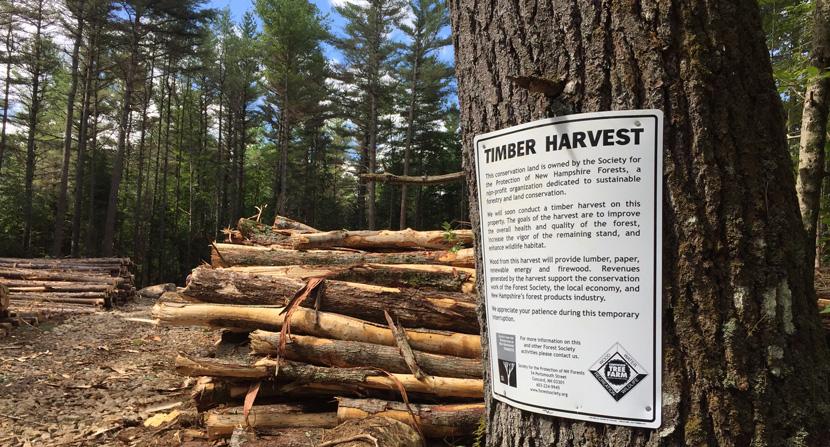 Timber harvest notice on Forest Society lands