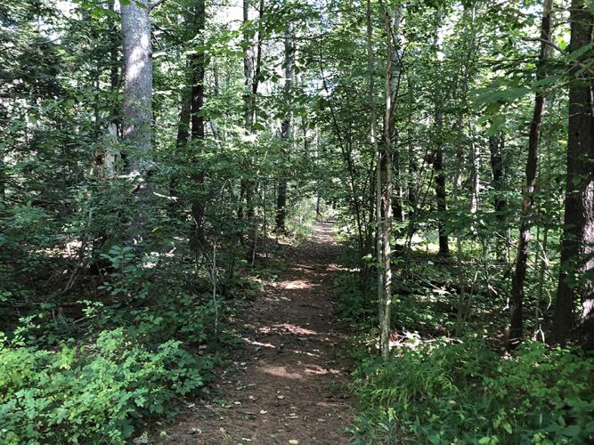 The wooded entrance to a trail at Clay Brook Forest. (Photo: Brian Hotz)