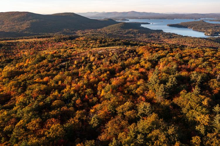 A birds eye view of Morse Preserve in fall.