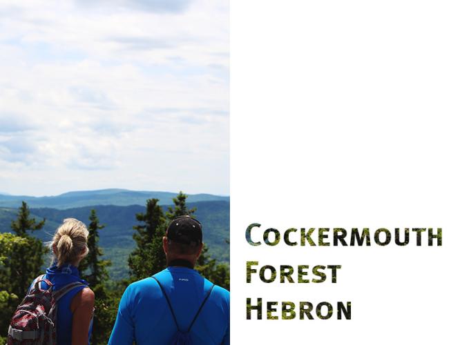 Cockermouth Forest is a favorite of many hikers in the Lakes Region of NH