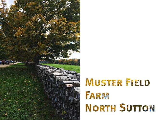 Muster Field Farm Museum in North Sutton is open year-round for self-guided tours