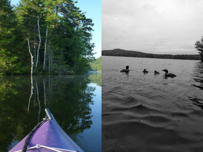 Fog, paddling and loons at Grafton Pond in New Hampshire