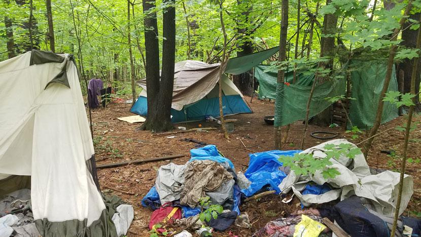 A homeless campsite in the woods in Concord