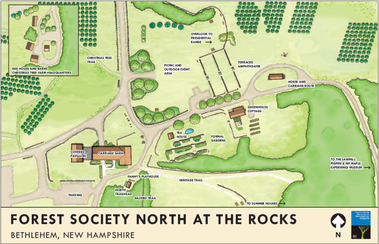 An illustration of the Forest Society North project, planned for construction at The Rocks starting in 2020.