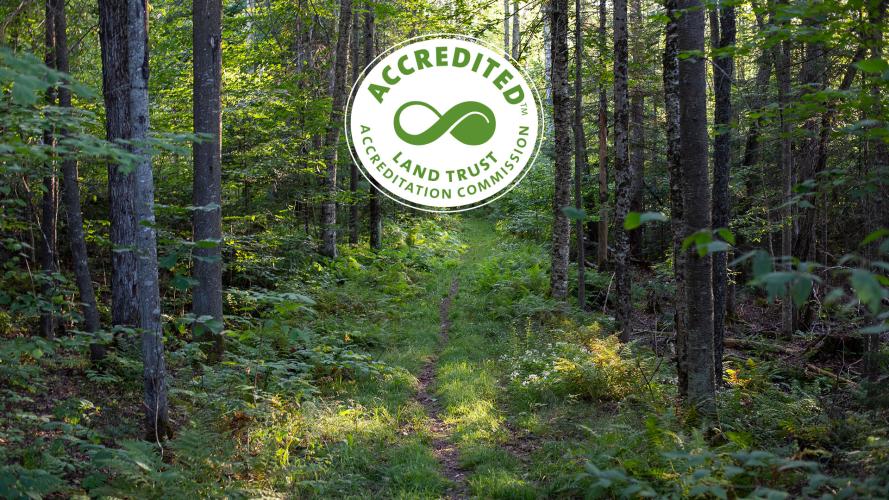 Land Trust Accreditation Commission seal over a hiking trail in a northern deciduous forest