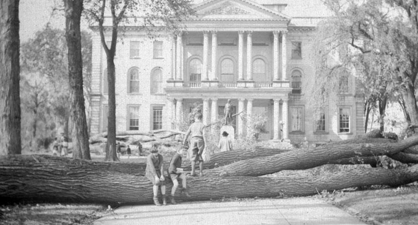 Elms downed from the Hurricane of 1938 at the New Hampshire statehouse