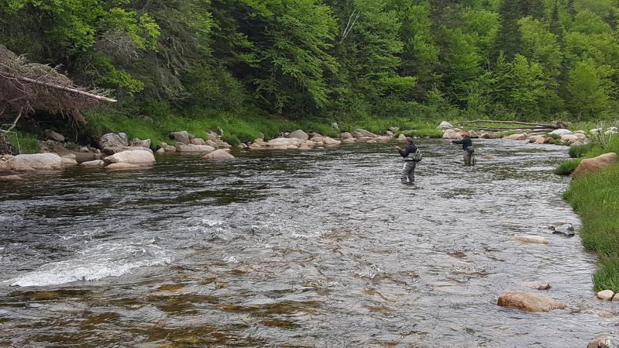 Fly fishing Ammonoosuc River Forest Project SPNHF