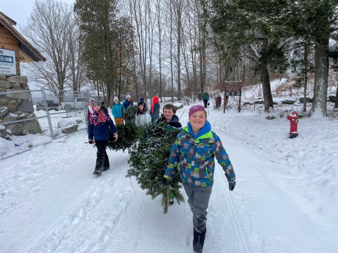 Students Harvest Christmas Trees They Planted in 2016 Forest Society