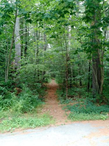 Clay Brook Forest, walking trail, Hampton Falls, SPNHF