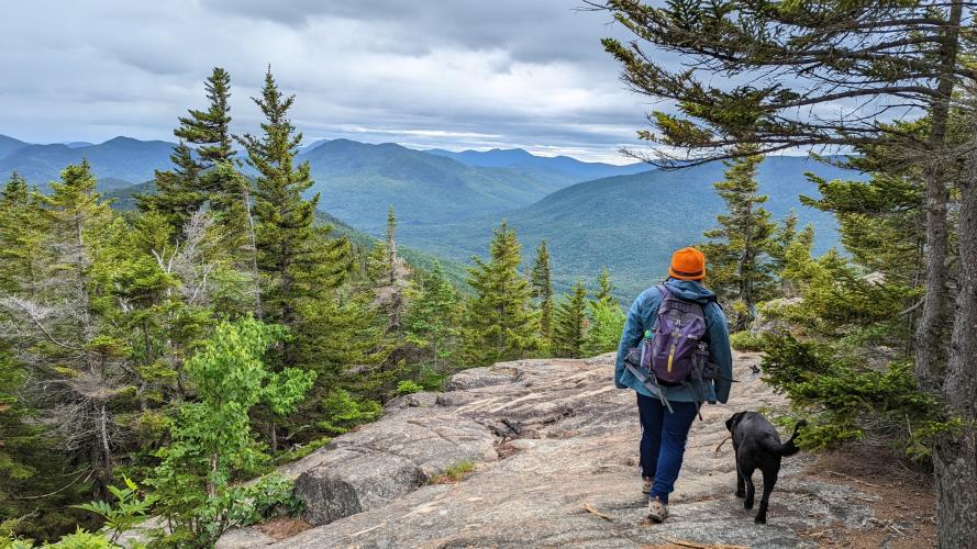 A volunteer at the summit of Mt Major with a black lab.