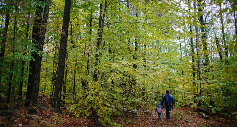 Family friendly hiking at Madame Sherri Forest in Chesterfield New Hampshire