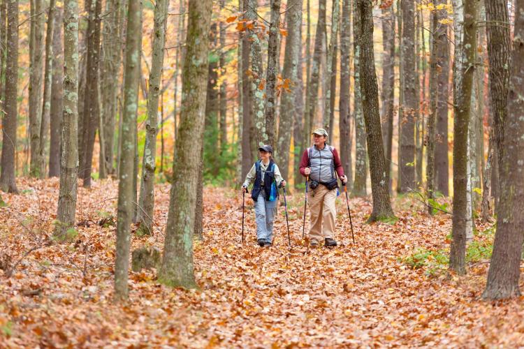 Two people walk through autumn woods.
