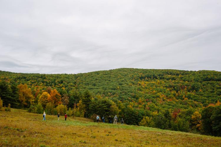Fields, forests, and foliage on the Burrows Farm Trail at Moose Mountains Reservation in Middleton, NH. 